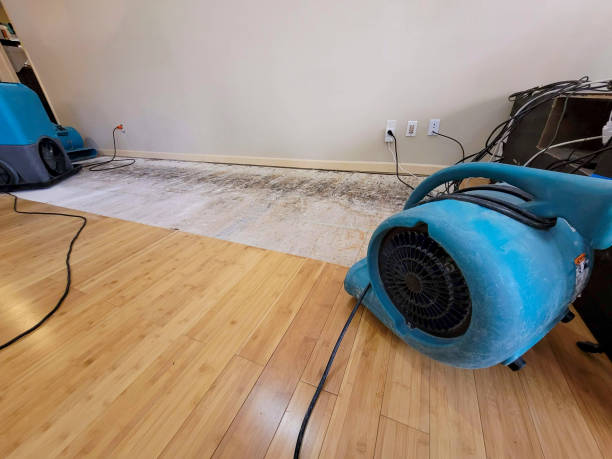 Professional Basement Flood Cleanup technician working in Sheridan, AR